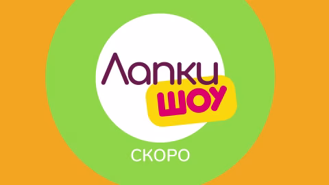 Лапки Live - Новые выпуски Лапки Шоу